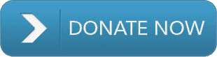 donate now
